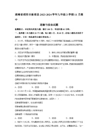 湖南省邵阳市新邵县2023-2024学年九年级上学期11月期中道德与法治试题（含解析）