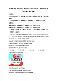 河南省洛阳市洛宁县2023-2024学年九年级上学期11月期中道德与法治试题（含解析）