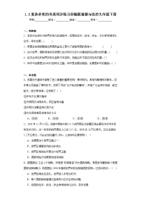 人教部编版九年级下册第一单元 我们共同的世界第一课 同住地球村复杂多变的关系课时训练