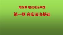 初中政治 (道德与法治)夯实法治基础优质习题ppt课件