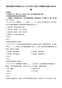 陕西省商洛市洛南县2023-2024学年八年级上学期期末道德与法治试题