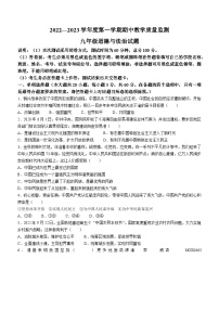 广东省阳江市阳东区2022-2023学年九年级上学期期中道德与法治试题