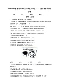 四川省泸州市泸县+2022-2023学年七年级下学期期末道德与法治试卷