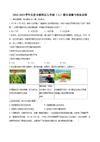 2022-2023学年北京市朝阳区九年级（上）期末道德与法治试卷（含详细答案解析）