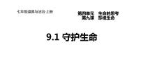 初中政治 (道德与法治)人教部编版七年级上册守护生命教学演示ppt课件