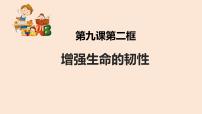 初中政治 (道德与法治)人教部编版七年级上册增强生命的韧性评课课件ppt