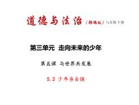 初中政治 (道德与法治)人教部编版九年级下册少年当自强课前预习ppt课件