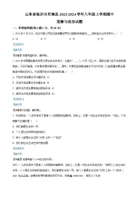 山东省临沂市莒南县2023-2024学年八年级上学期期中道德与法治试题