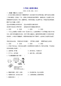 八年级上学期道德与法治期末模拟试卷（含答案解析）