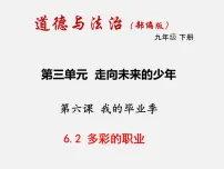 人教部编版九年级下册多彩的职业课文课件ppt