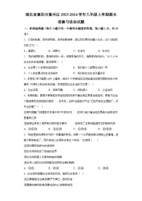 湖北省襄阳市襄州区2023-2024学年八年级上学期期末 道德与法治试题（含解析）