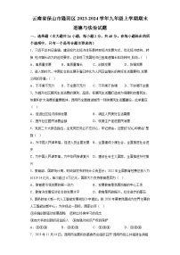 云南省保山市隆阳区2023-2024学年九年级上学期期末 道德与法治试题（含解析）