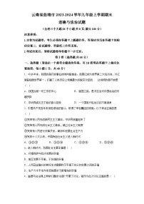 云南省曲靖市2023-2024学年九年级上学期期末 道德与法治试题（含解析）