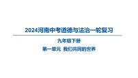 2024河南中考道德与法治一轮复习九年级下册第一单元 我们共同的世界课件