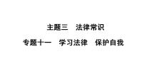 2024年广东省中考道德与法治一轮总复习 课件 专题一0一  学习法律  保护自我