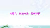 中考道德与法治总复习专题六知法守法特殊保护课件