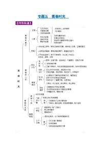 中考道德与法治一轮复习考点巩固练习 专题05 青春时光（含解析）
