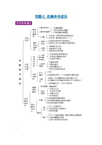 中考道德与法治一轮复习考点巩固练习 专题07 在集体中成长（含解析）