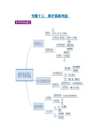 中考道德与法治一轮复习考点巩固练习 专题12 维护国家利益（含解析）