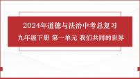 2024年道德与法治中考一轮总复习课件：我们共同的世界  课件