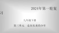 九年级下册第三单元 走向未来的少年 复习课件---2024年中考道德与法治一轮复习