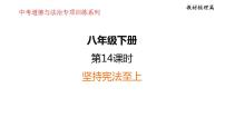 第一单元  坚持宪法至上  课件 2024年中考道德与法治一轮复习
