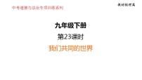 第一单元  我们共同的世界  课件 2024年中考道德与法治一轮复习