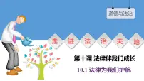 初中法律为我们护航教学ppt课件