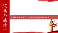 加强未成年人保护，促进青少年身心健康成长  课件  2024年中考道德与法治 时政热点专题复习