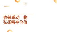 致敬感动人物 弘扬精神价值 课件 2024年中考道德与法治 时政热点专题复习