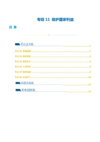 专题11 维护国家利益（练习）-2024年中考道德与法治一轮复习课件（含练习）（全国通用）
