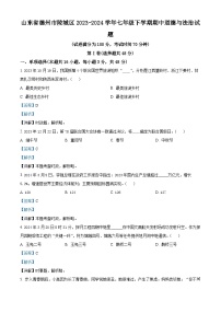 10，山东省德州市陵城区2023-2024学年七年级下学期期中道德与法治试题