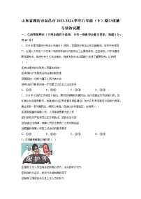 山东省潍坊市昌邑市2023-2024学年八年级下学期期中道德与法治试题（含解析）