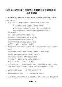 广东省惠州市惠阳区第一中学2023-2024学年八年级下学期5月期中道德与法治试题