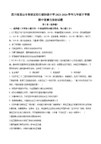 四川省眉山市东坡区松江镇初级中学 2023-2024学年九年级下学期期中道德与法治试题