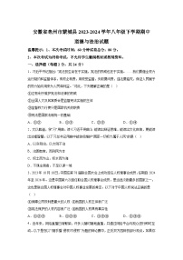 安徽省亳州市蒙城县2023-2024学年八年级下学期期中道德与法治试题(含解析)