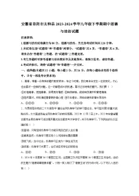 安徽省阜阳市太和县2023-2024学年九年级下学期期中道德与法治试题(含解析)