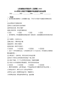 山东省烟台市招远市（五四制）2023-2024学年七年级下学期期中考试道德与法治试卷(含答案)