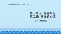 初中政治 (道德与法治)人教部编版七年级下册男生女生课文配套ppt课件