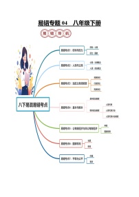 专题04 八年级下册易混易错考点梳理-备战2024年中考道德与法治考试易错题（汇编整理）