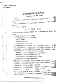 山东省泰安市岱岳区2023-2024学年(五四学制)七年级下学期期中道德与法治试题