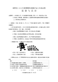 河南省南阳市新野县2023-2024学年八年级下学期期末质量评估道德与法治试卷