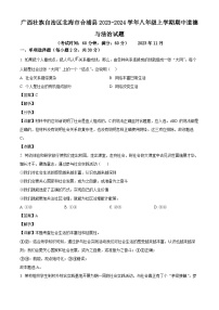 广西壮族自治区北海市合浦县2023-2024学年八年级上学期期中 道德与法治试题（含解析）