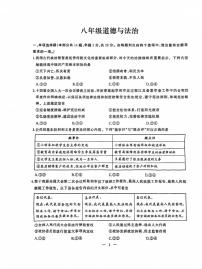 湖北省武汉市江岸区2023-2024学年八年级下学期期末考试道德与法治试卷