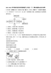 陕西省西安市新城区2023-2024学年七年级下学期6月期末道德与法治试题