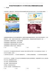[政治][期末]四川省泸州市龙马潭区2023-2024学年九年级上学期期末道德与法治试题
