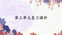 政治 (道德与法治)七年级上册（2024）第三单元 珍爱我们的生命复习课件ppt