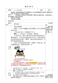 初中政治 (道德与法治)人教版（2024）七年级上册（2024）认识生命免费教案设计