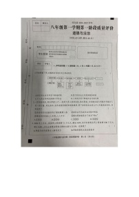 河北省沧州市东光县五校联考2024-2025学年八年级上学期10月月考道德与法治试题