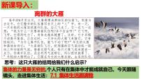初中政治 (道德与法治)集体生活成就我备课课件ppt